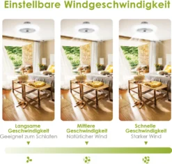 EINFEBEN Deckenventilator Mit Beleuchtung 80W Dimmbar Fan Licht Einstellbare Windgeschwindigkeit Deckenventilatoren Lampe Luefter-Deckenleuchte Mit Fernbedienung -Luft Wrame Haus Geschaft 335f400a52ad096918f0fd2d8fd1b2a2