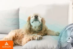 AERSON Bodenventilator 100W 40cm Windmaschine Tischventilator Ventilator Standventilator -Luft Wrame Haus Geschaft 81d9c642b8243a556548050a0990cf41